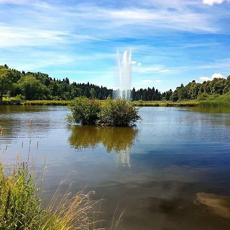 Ferienappartement Balbiani Hahnenklee-Harz جوسلار المظهر الخارجي الصورة