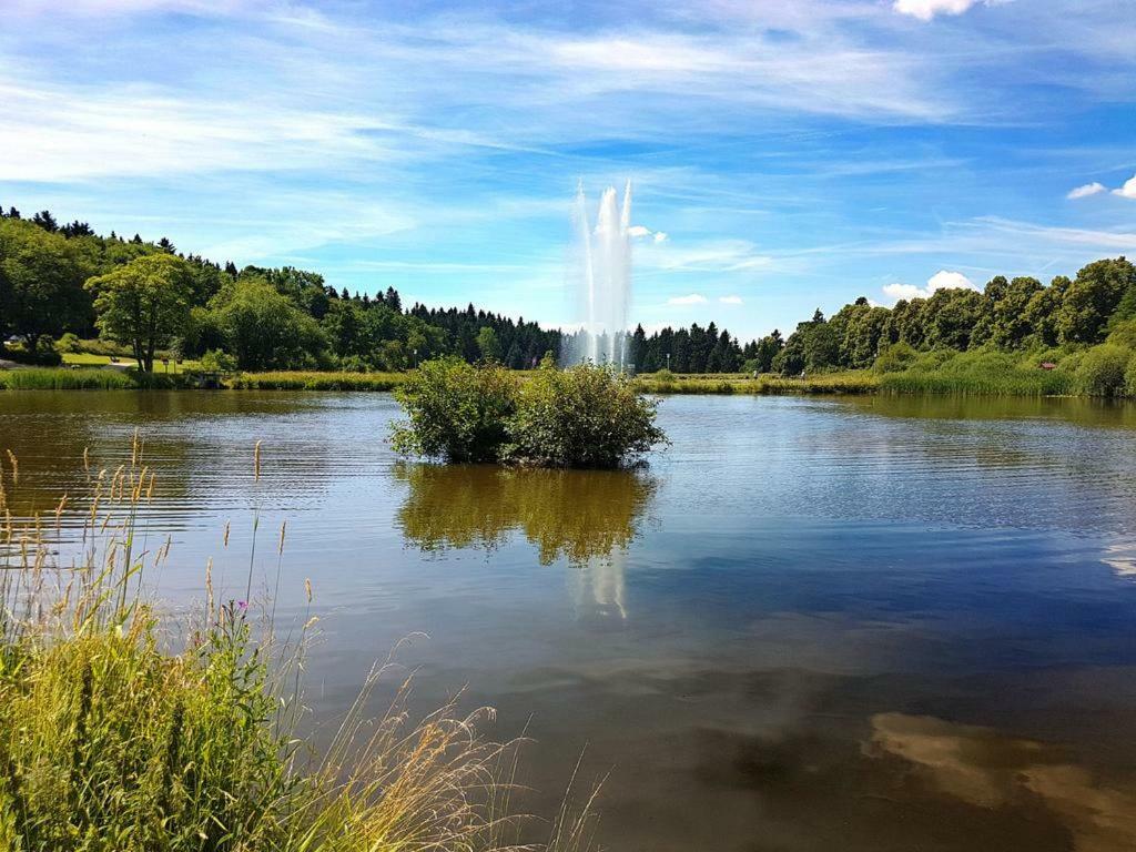 Ferienappartement Balbiani Hahnenklee-Harz جوسلار المظهر الخارجي الصورة
